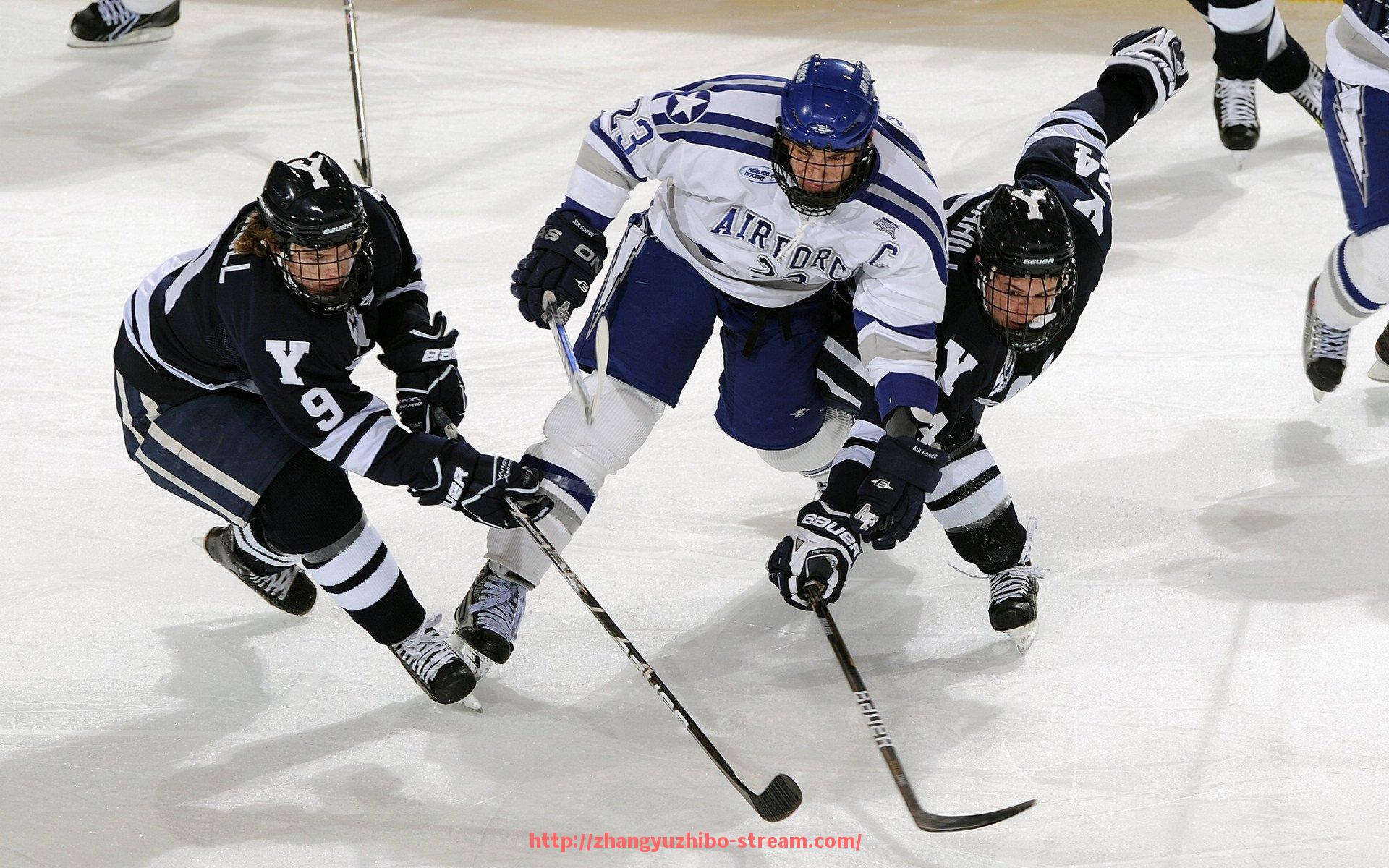 章鱼直播-枣庄籍CBA球员名单及其联赛战绩情况