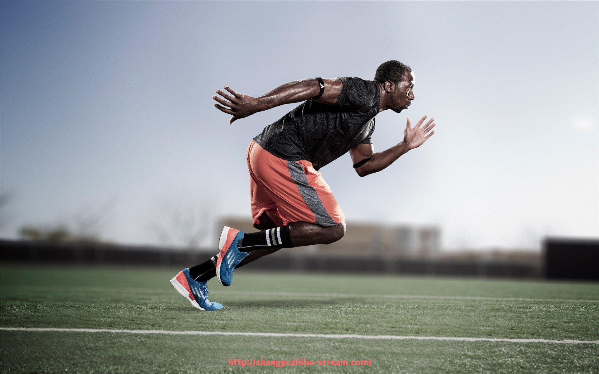 章鱼直播-欧冠赛事时间表及全年重要节点速览