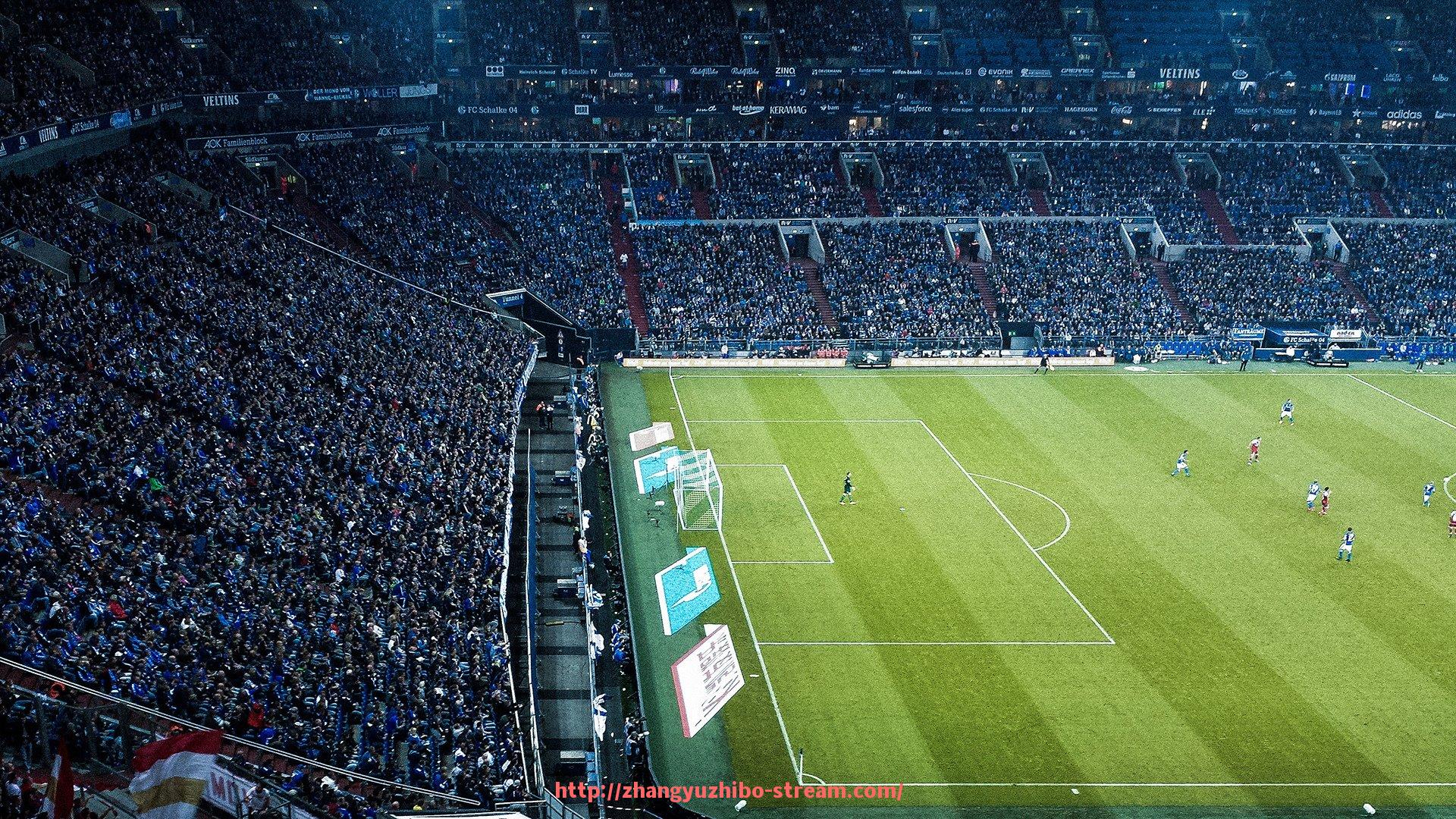 章鱼直播-草根视角看2008中超联赛：现场球迷口述史与珍贵影像集