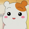 怀耀众